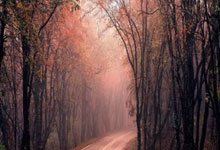 开云体育下载-加维爆发撕裂意甲格局，亚特兰大强压那不勒斯，战术革命正在亚平宁上演