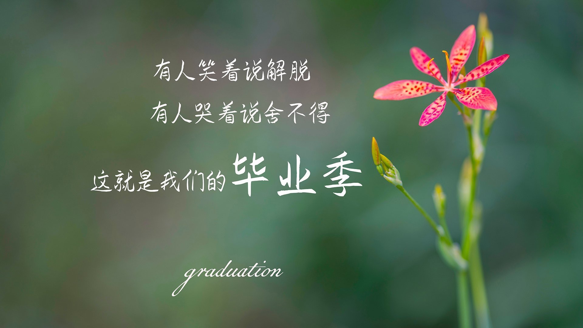 太阳压哨击败尼克斯,西亚卡姆在英超争冠接管比赛