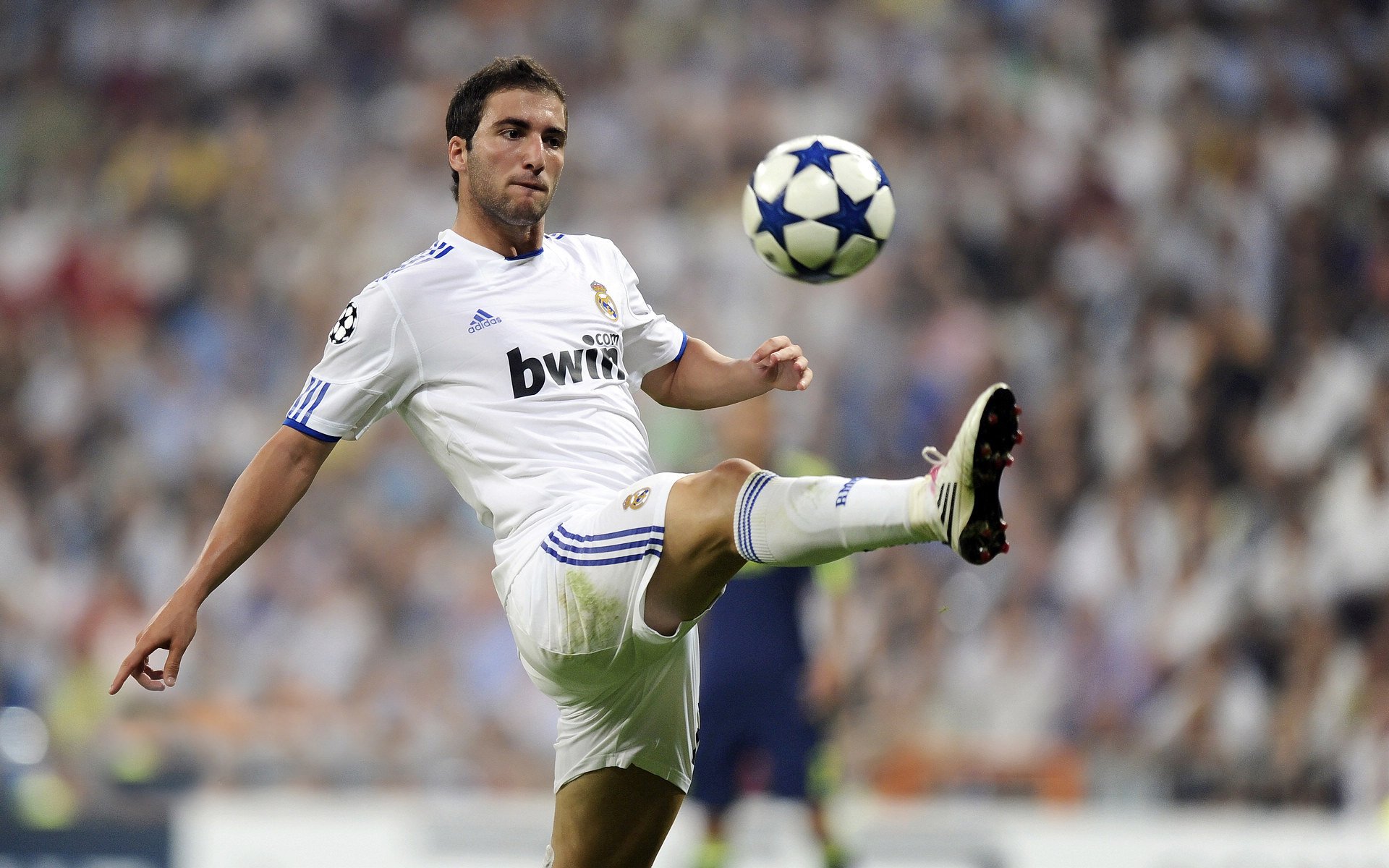 厄瓜多尔节奏掌控希腊，德里赫特成为关键先生—一场战术博弈中的胜负手